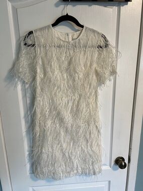 Laws of motion Moment Ostrich Feather Mini Dress